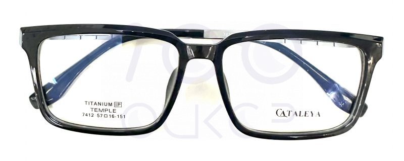 QUATTRO Cataleya пружина 7412 c2 100 ОЧКОВ Калуга