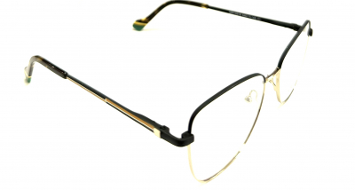 OPTIFLEX OPF 10018 c1 100 ОЧКОВ Калуга