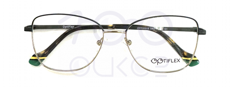 OPTIFLEX OPF 10018 c1 100 ОЧКОВ Калуга