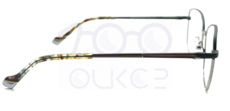 OPTIFLEX OPF 10018 c10 100 ОЧКОВ Калуга