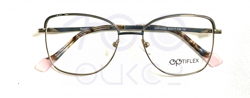 OPTIFLEX OPF 11003 c6 100 ОЧКОВ Калуга