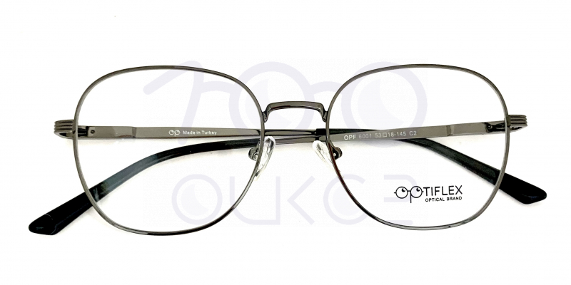OPTIFLEX OPF 6001 c2 100 ОЧКОВ Калуга