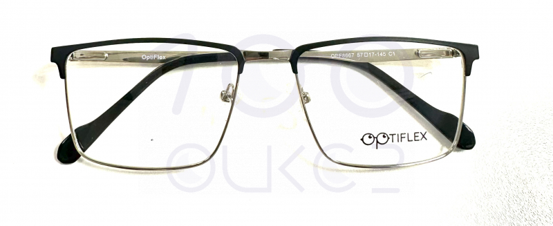OPTIFLEX OPF 8667 c1 100 ОЧКОВ Калуга