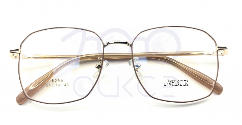 MERCK 6256 c17 100 ОЧКОВ Калуга