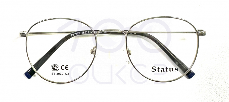 Status 3039 с3 100 ОЧКОВ Калуга