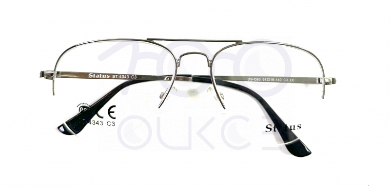 Status 4343 с3 100 ОЧКОВ Калуга